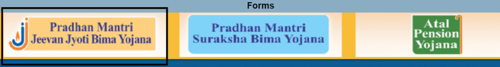 Pradhan Mantri Jeevan Jyoti Bima Yojana