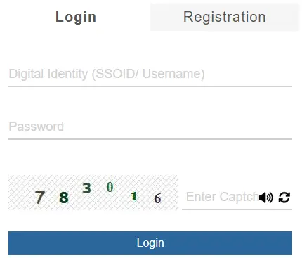 What is SSO Login ID?